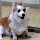 豆友Cj4vKjdBtA