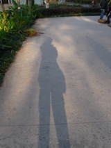 鱼弋