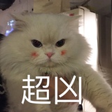 打搅团的美乐蒂