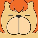 面B
