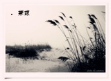 高凨