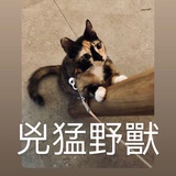 petite小确幸