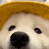 老大难耶耶