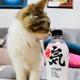 潇潇