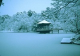 Snowy_river