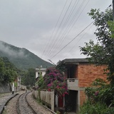 籼道