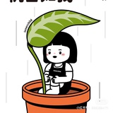 昵称没想好