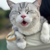 象素
