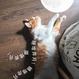村东头