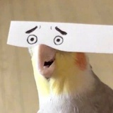 大脸怪