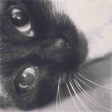 Lunar