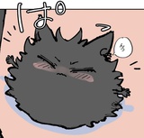 白泽