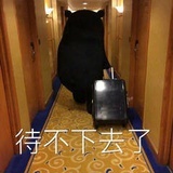 绝世告诉