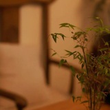 南纬30度