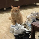 你不要再咬我了