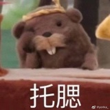 大橙子