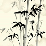净尘师太