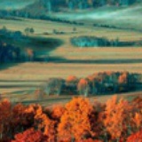 灯火阑珊处有我