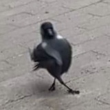 先吃了再说