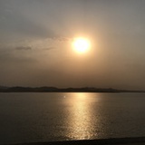 飞羊