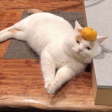 橘子味的夏天