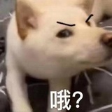 奥巴马桶