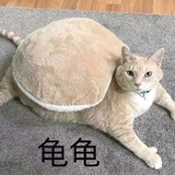 国服最强大小姐