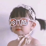 派派的派