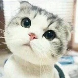 💰从四面八方来