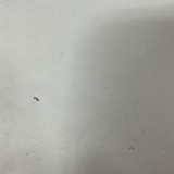 艾瑞巴蒂