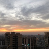 狼牙土豆