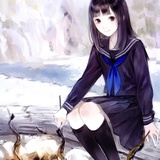 猪猪