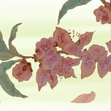阿惩
