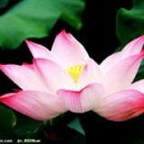 jm悠然