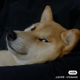 常威在打来福