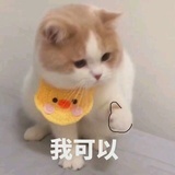 胧月