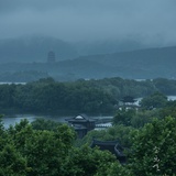 深宵沉醉觅菰蒲