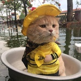 农民伯伯