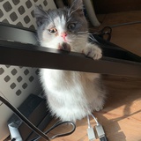水炎啦啦啦