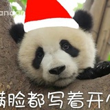 孙大剩