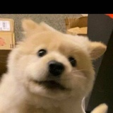 吞吞姑娘