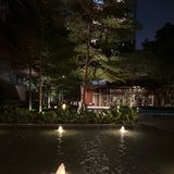 雨天中的阳光