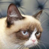 猫利奥