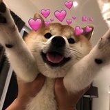 Miaōóǒò