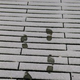 凌风阁