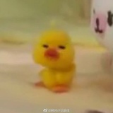 佩皮