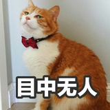 好的吧
