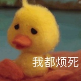 是真的吗