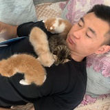 张大小