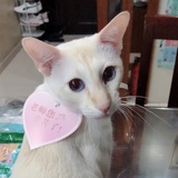 魁一君
